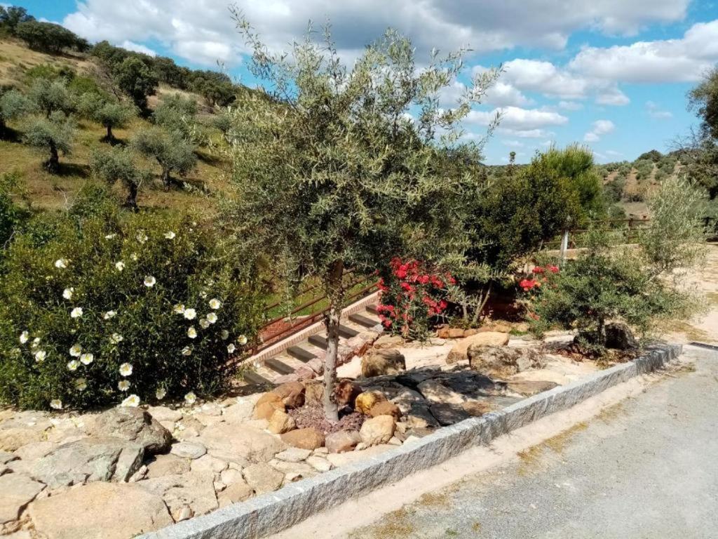 Apartamentos Turisticos La Gitanilla Los Navalucillos Ngoại thất bức ảnh